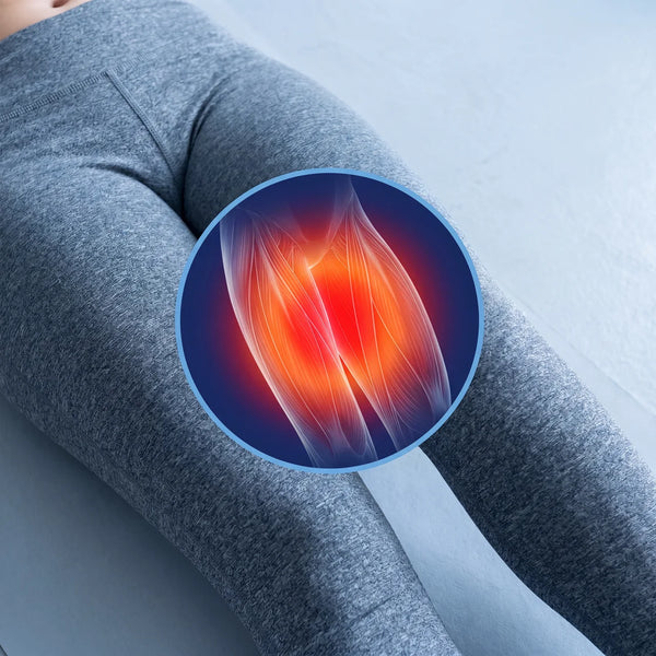 Inner thigh muscles targeted by the Sculptor Pro