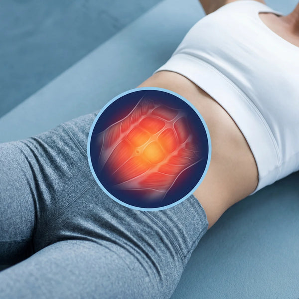 Core muscles targeted by the Sculptor Pro